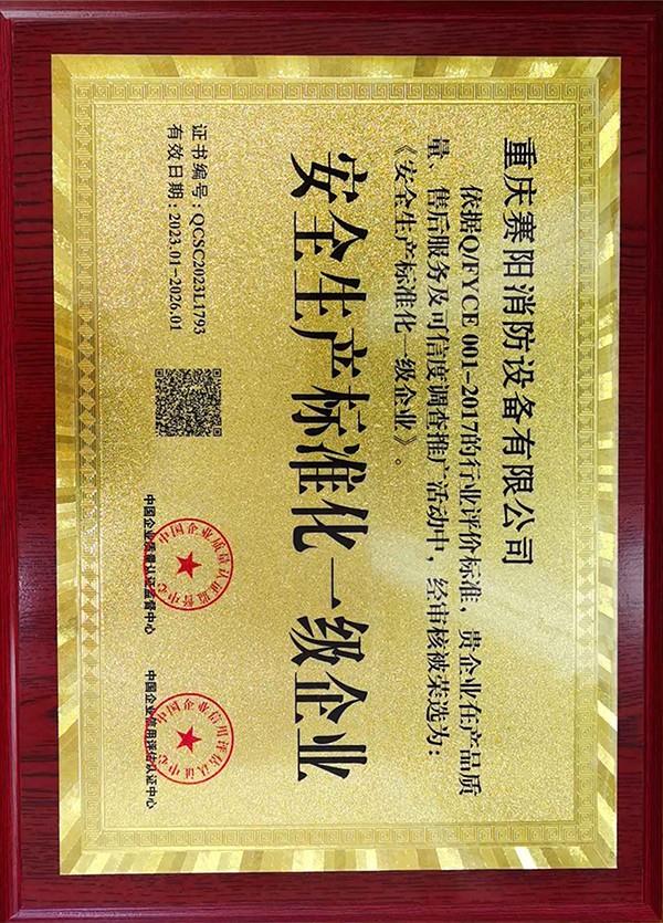 安全生产标准化一级企业